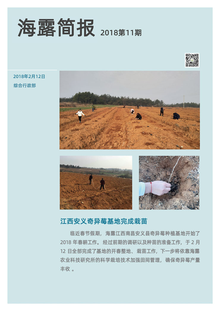 bti体育平台·(中国)官方网站