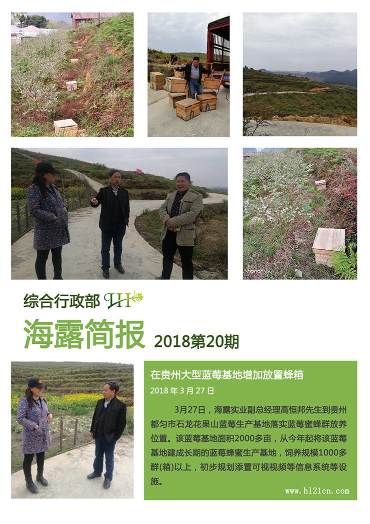 bti体育平台·(中国)官方网站