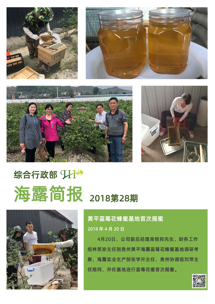 bti体育平台·(中国)官方网站