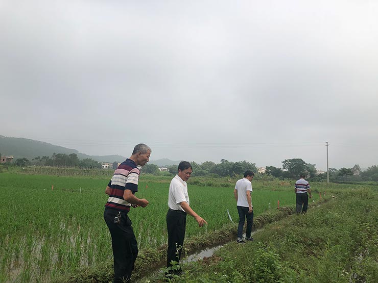 bti体育平台·(中国)官方网站