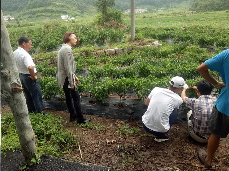 bti体育平台·(中国)官方网站