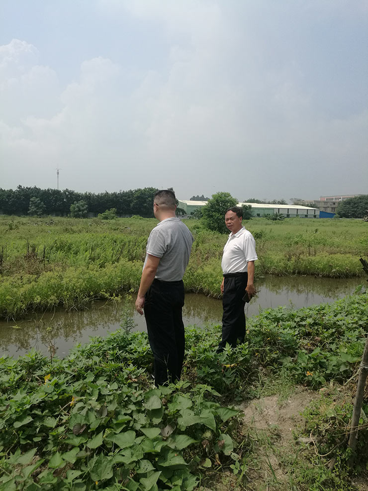 bti体育平台·(中国)官方网站