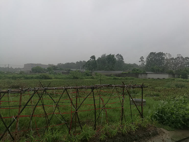 bti体育平台·(中国)官方网站