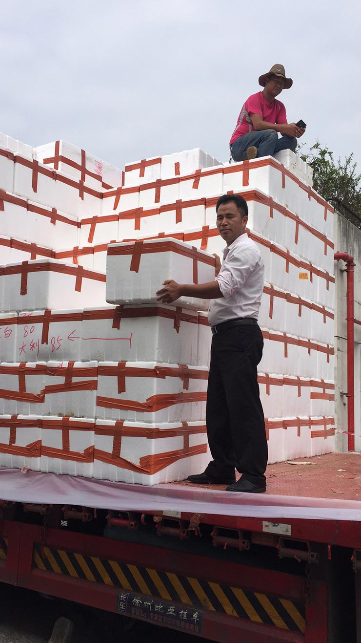 bti体育平台·(中国)官方网站