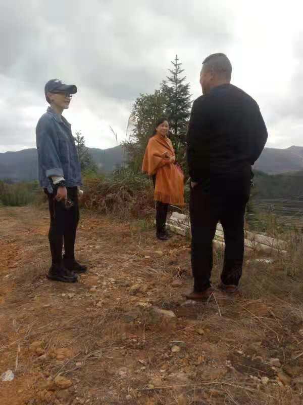 bti体育平台·(中国)官方网站