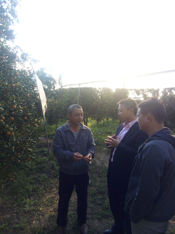 bti体育平台·(中国)官方网站