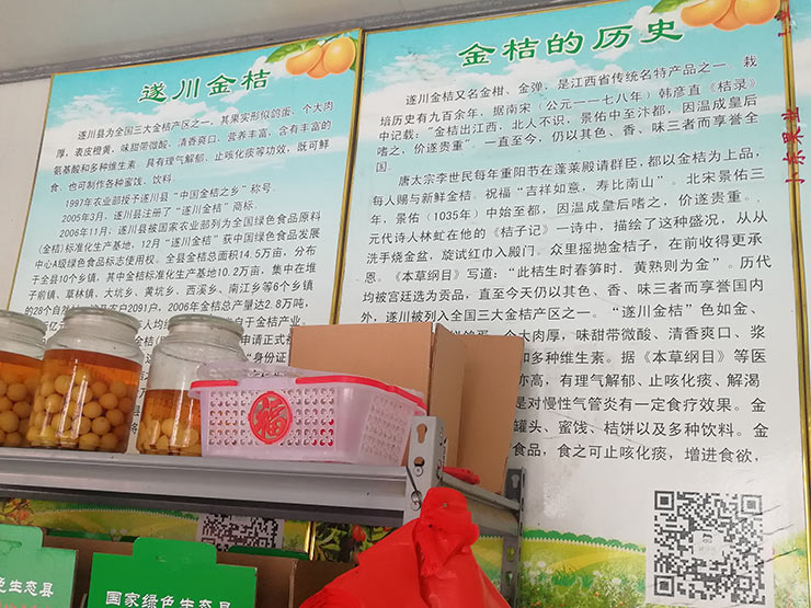 bti体育平台·(中国)官方网站