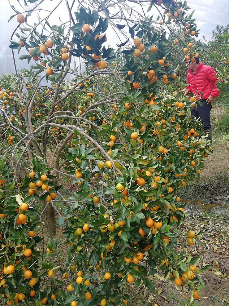 bti体育平台·(中国)官方网站