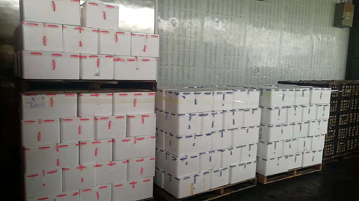 bti体育平台·(中国)官方网站