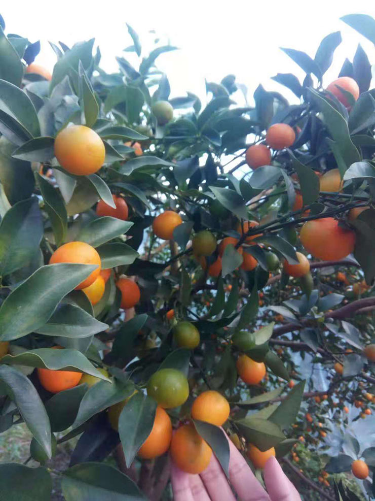 bti体育平台·(中国)官方网站