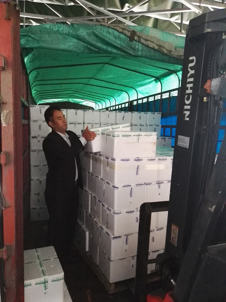 bti体育平台·(中国)官方网站