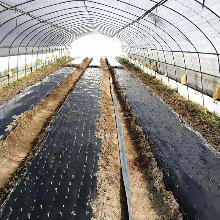 bti体育平台·(中国)官方网站