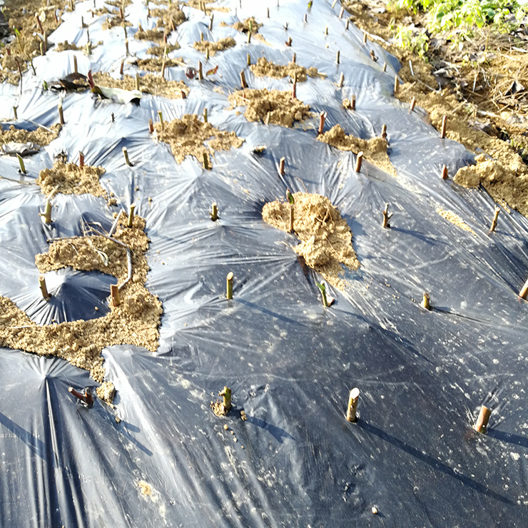 bti体育平台·(中国)官方网站