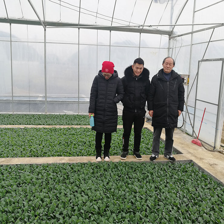 bti体育平台·(中国)官方网站