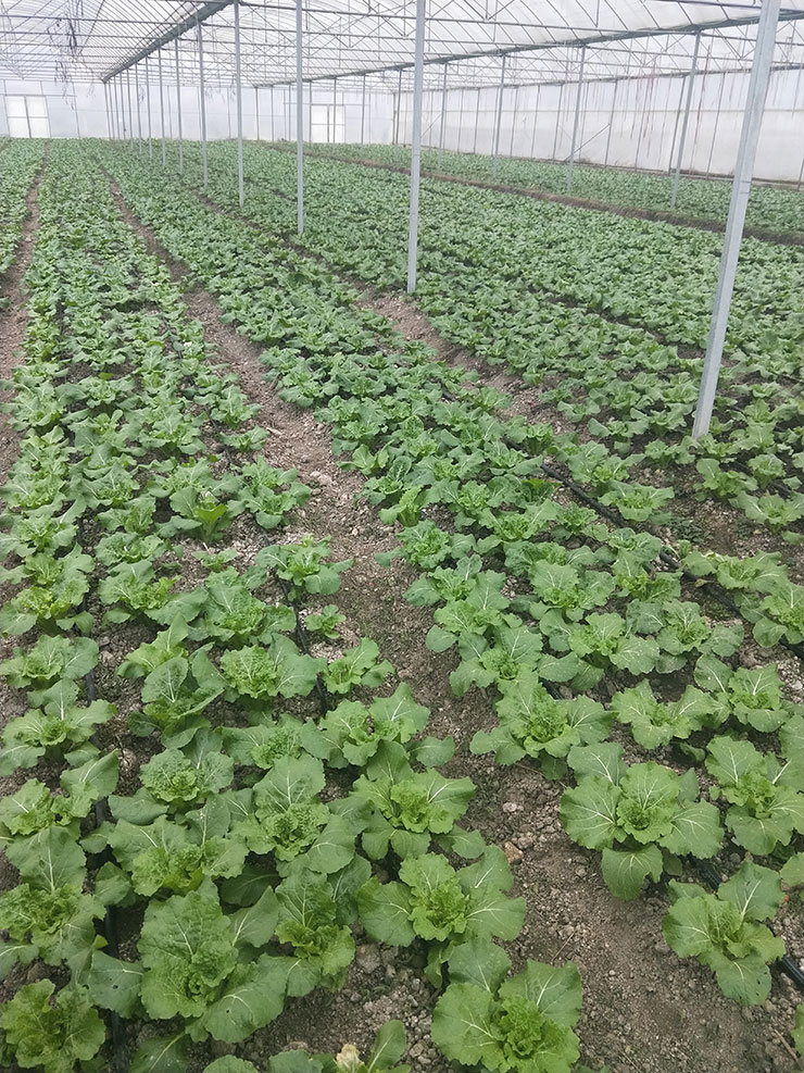 bti体育平台·(中国)官方网站