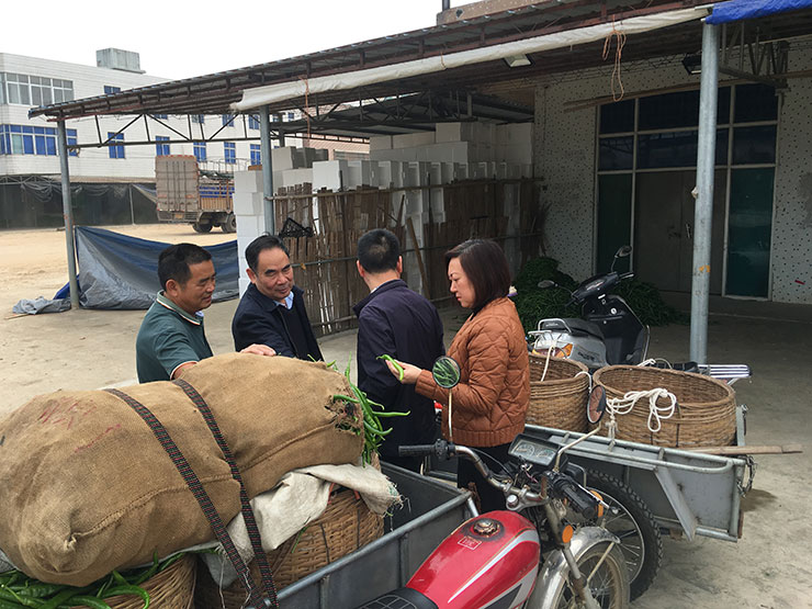 bti体育平台·(中国)官方网站