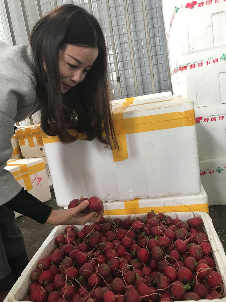 bti体育平台·(中国)官方网站