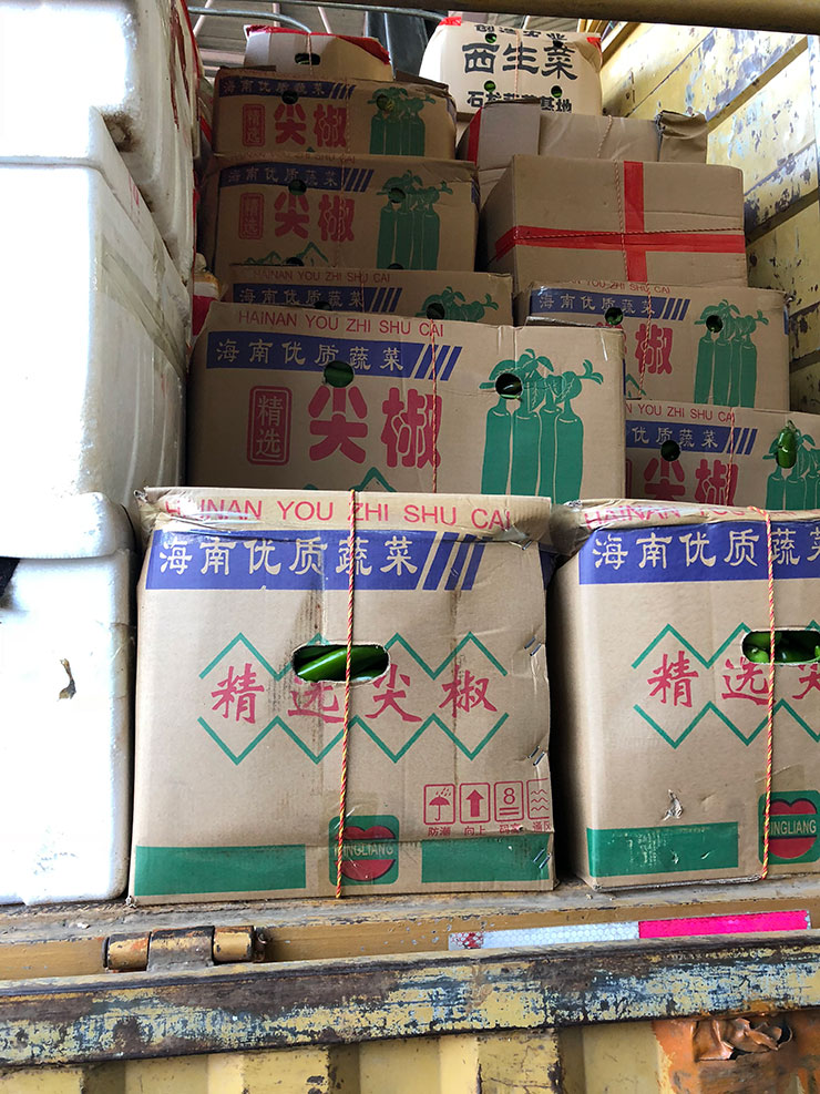 bti体育平台·(中国)官方网站