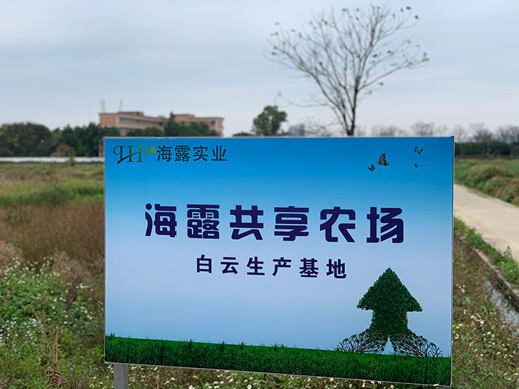 bti体育平台·(中国)官方网站