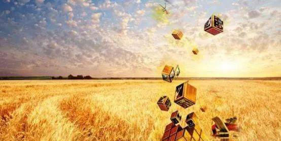 bti体育平台·(中国)官方网站