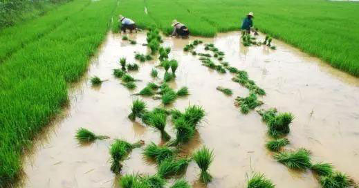 bti体育平台·(中国)官方网站