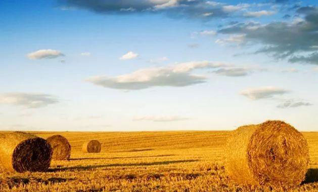 bti体育平台·(中国)官方网站