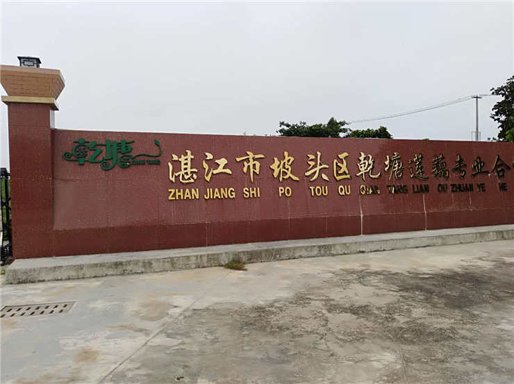 bti体育平台·(中国)官方网站