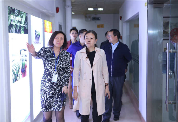 bti体育平台·(中国)官方网站