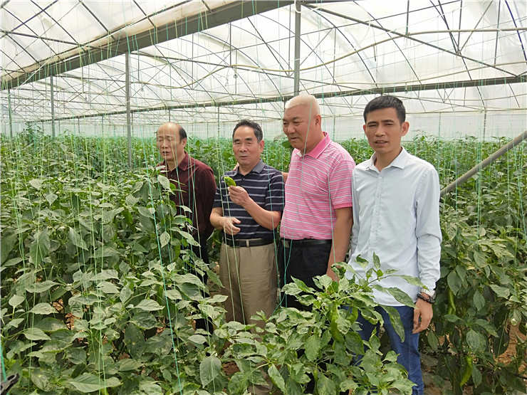 bti体育平台·(中国)官方网站