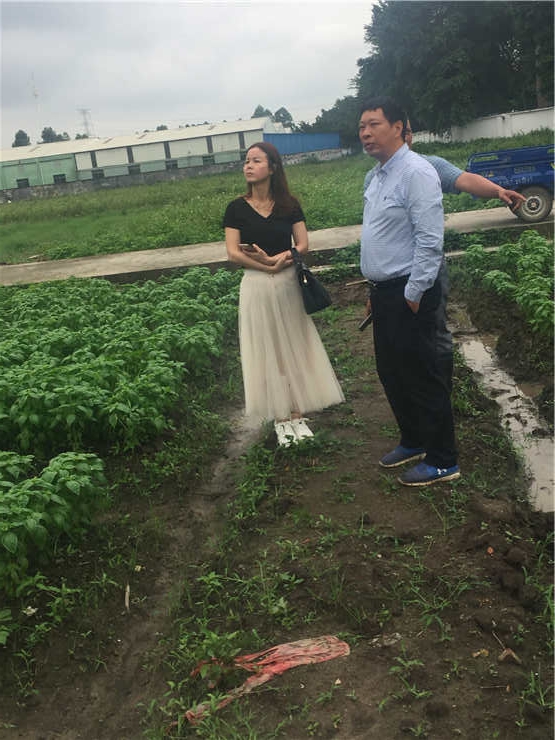 bti体育平台·(中国)官方网站