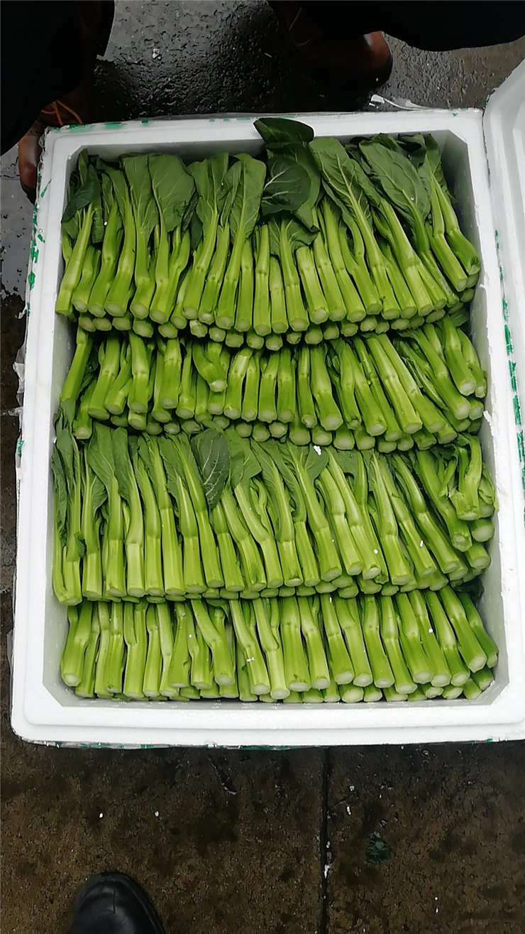 bti体育平台·(中国)官方网站