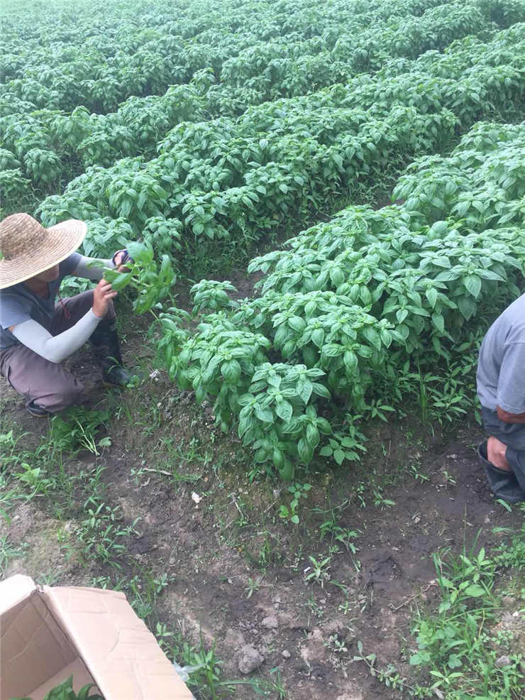 bti体育平台·(中国)官方网站