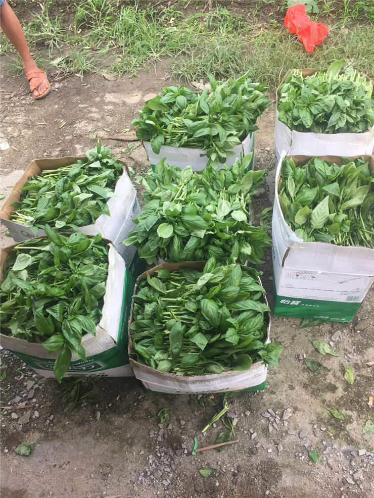 bti体育平台·(中国)官方网站