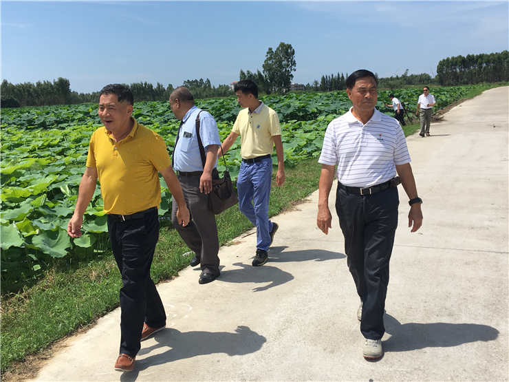 bti体育平台·(中国)官方网站