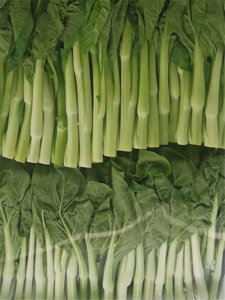 bti体育平台·(中国)官方网站