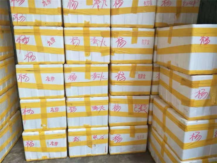 bti体育平台·(中国)官方网站