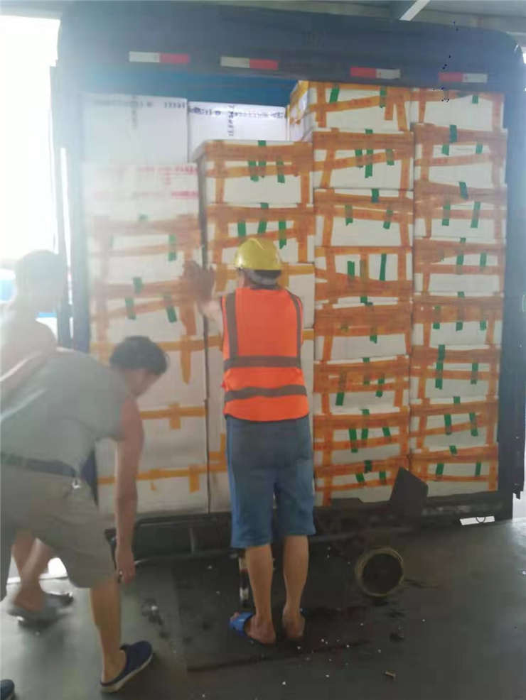 bti体育平台·(中国)官方网站