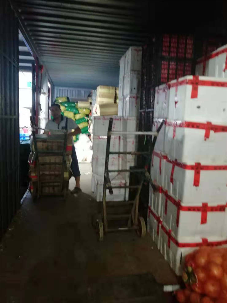 bti体育平台·(中国)官方网站