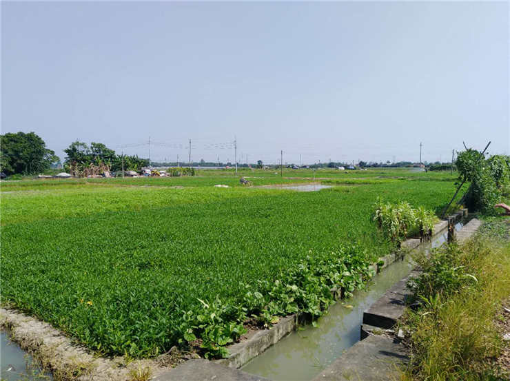 bti体育平台·(中国)官方网站