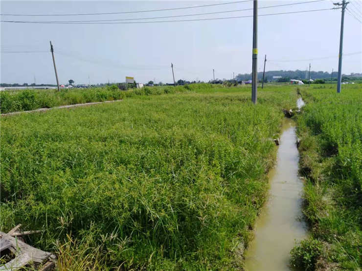 bti体育平台·(中国)官方网站