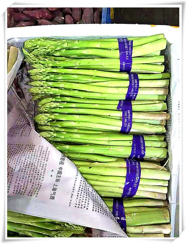 bti体育平台·(中国)官方网站