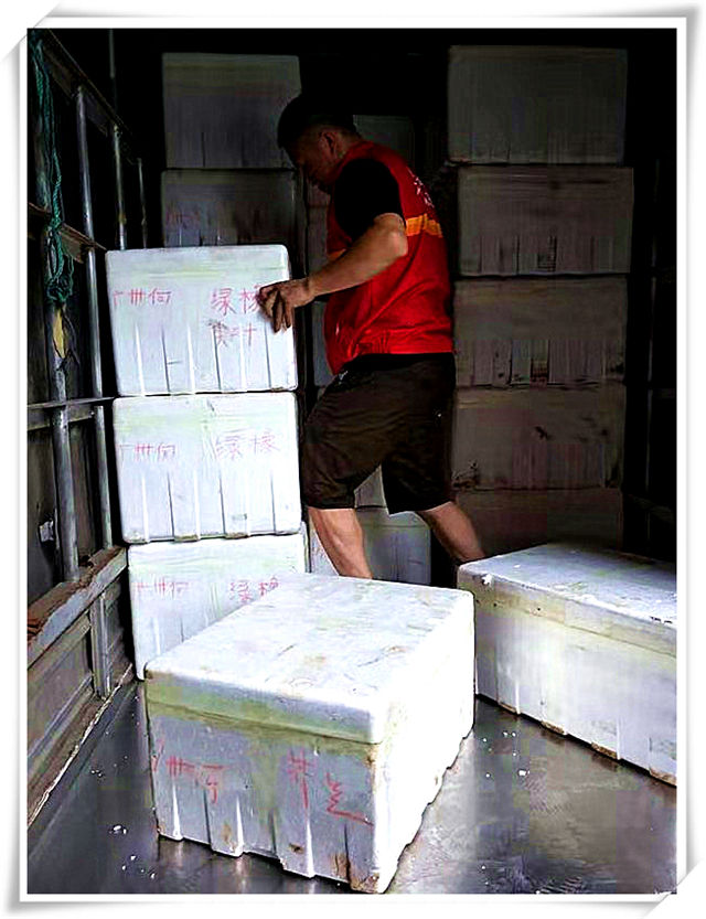 bti体育平台·(中国)官方网站