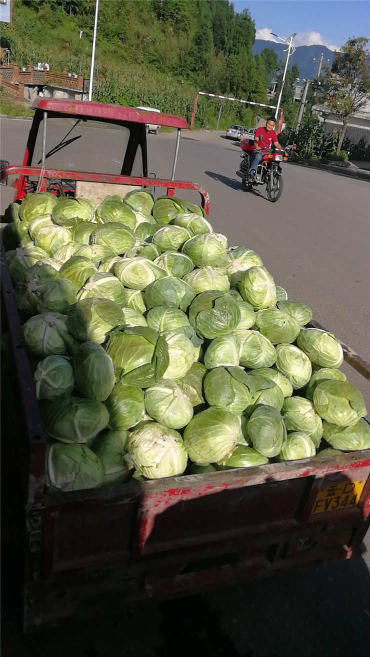 bti体育平台·(中国)官方网站