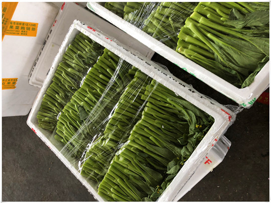 bti体育平台·(中国)官方网站