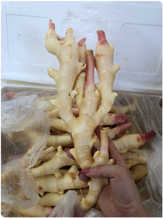 bti体育平台·(中国)官方网站