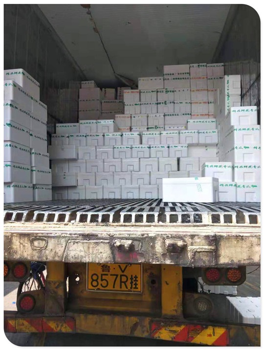 bti体育平台·(中国)官方网站