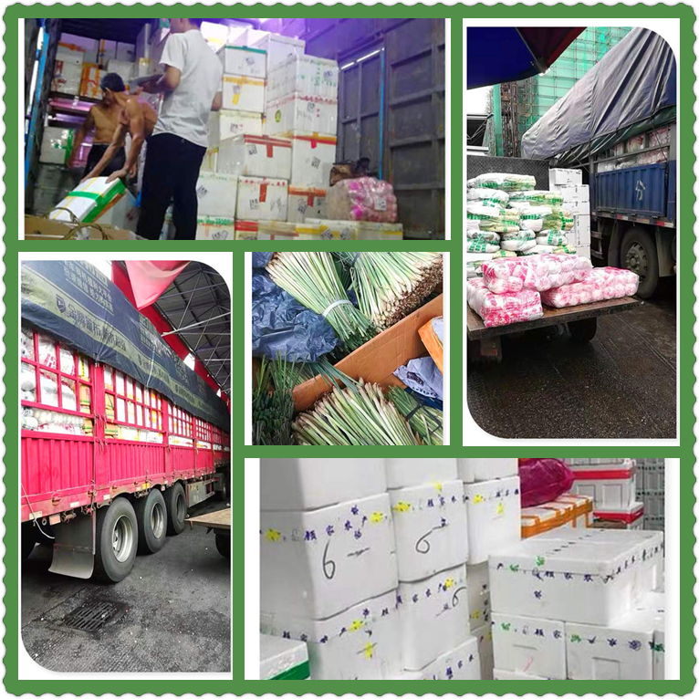 bti体育平台·(中国)官方网站