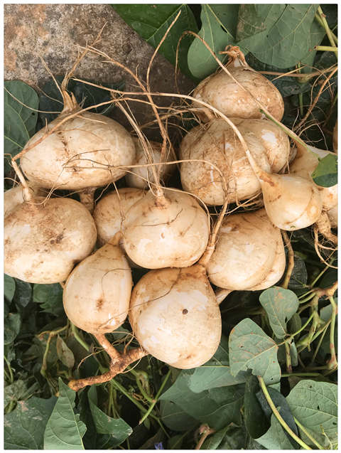 bti体育平台·(中国)官方网站