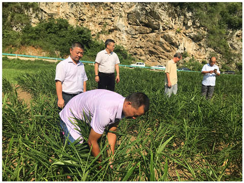 bti体育平台·(中国)官方网站