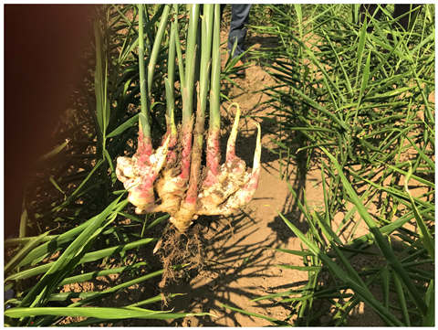 bti体育平台·(中国)官方网站